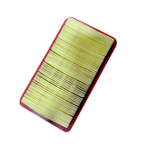 EFI Air Filter Replacement
